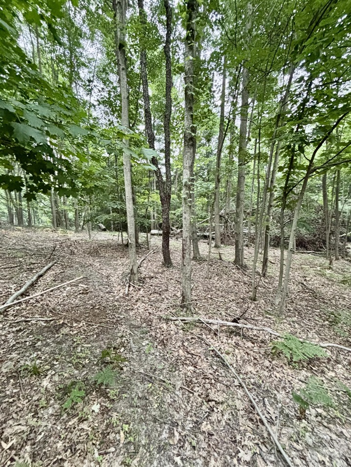 4th image of V/L 0 S Elder Ave, Grant, MI 49327 | MLS# 70546727