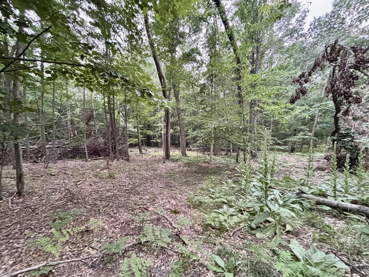 5th image of V/L 0 S Elder Ave, Grant, MI 49327 | MLS# 70546727