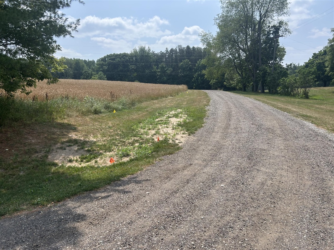 2nd image of 1976 Solon St, Cedar Springs, MI 49319 | MLS# 70546765