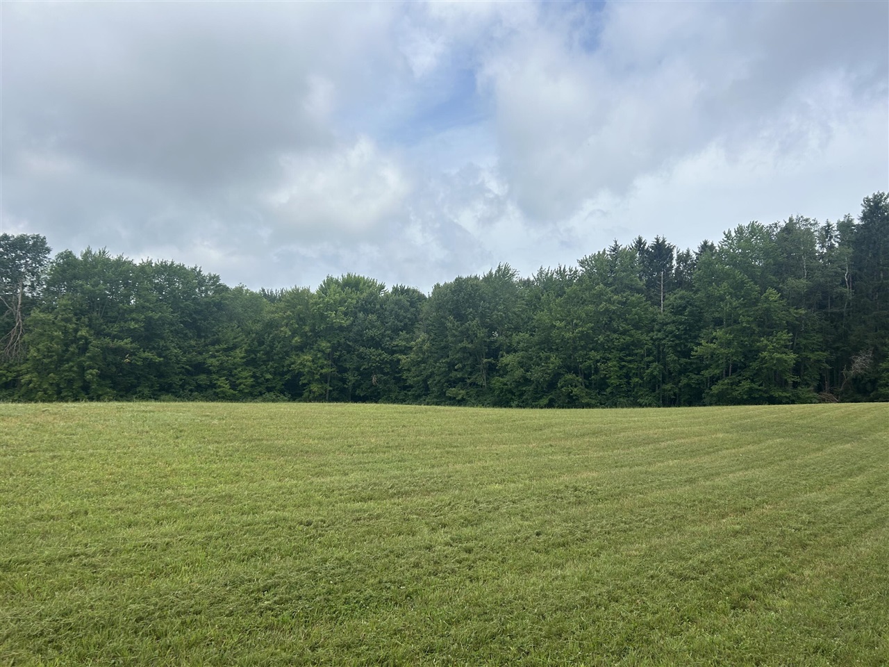 3rd image of 1976 Solon St, Cedar Springs, MI 49319 | MLS# 70546765
