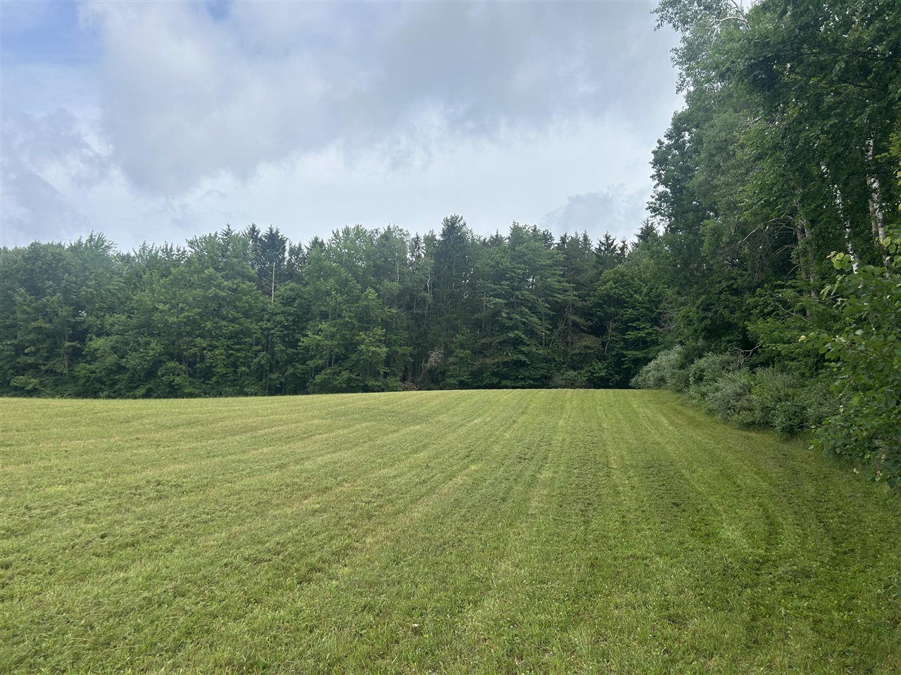 4th image of 1976 Solon St, Cedar Springs, MI 49319 | MLS# 70546765