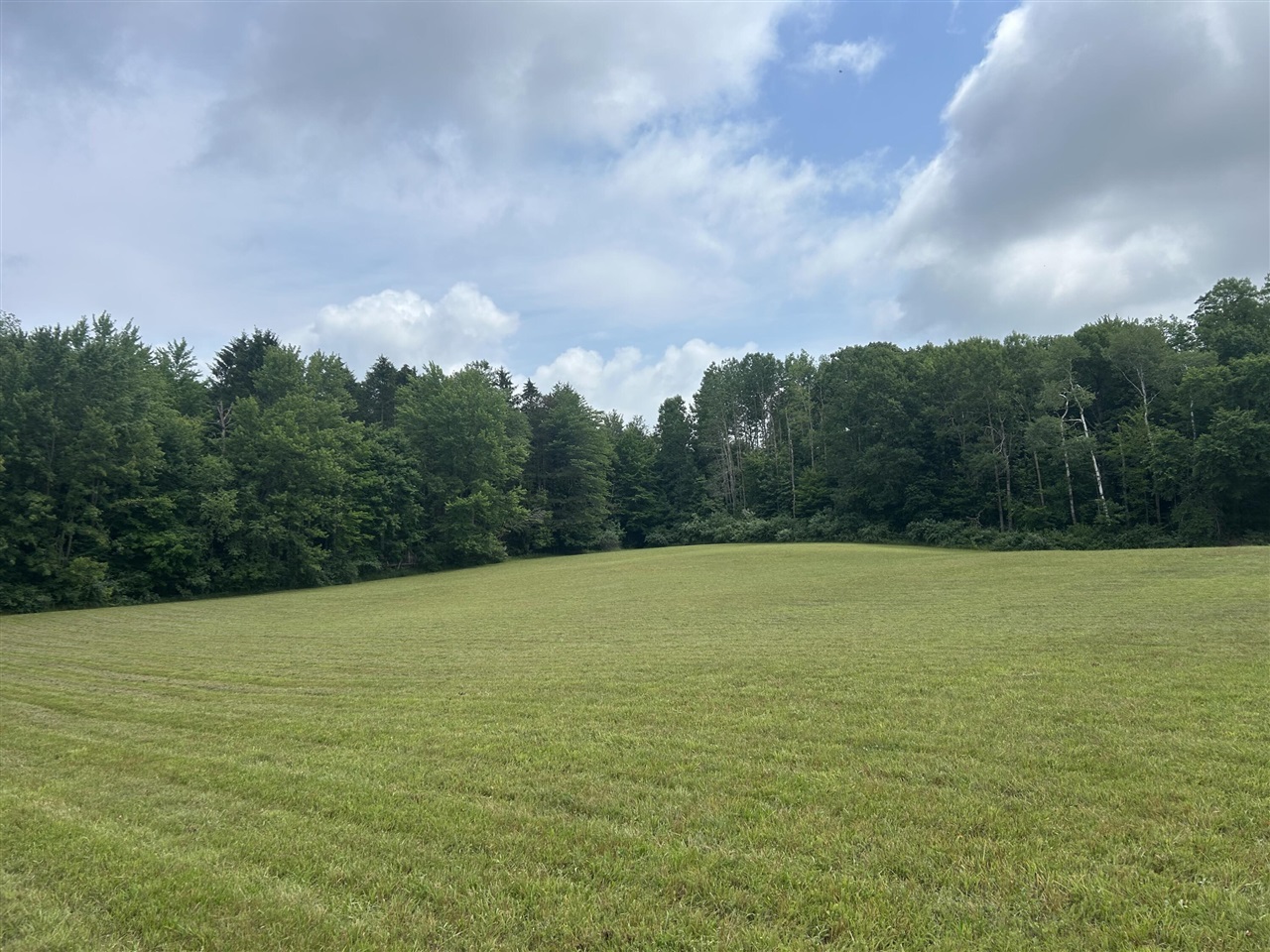 5th image of 1976 Solon St, Cedar Springs, MI 49319 | MLS# 70546765