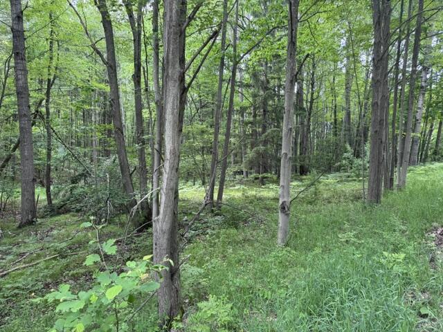 1st image of 142 Hills Cir, Le Roy, MI 49655 | MLS# 70546900