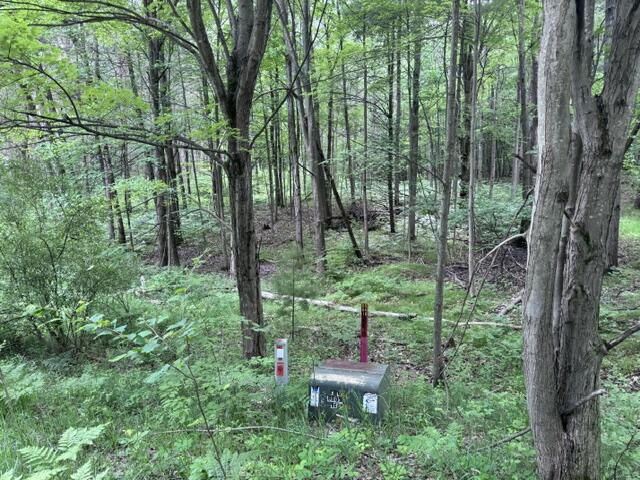 2nd image of 142 Hills Cir, Le Roy, MI 49655 | MLS# 70546900