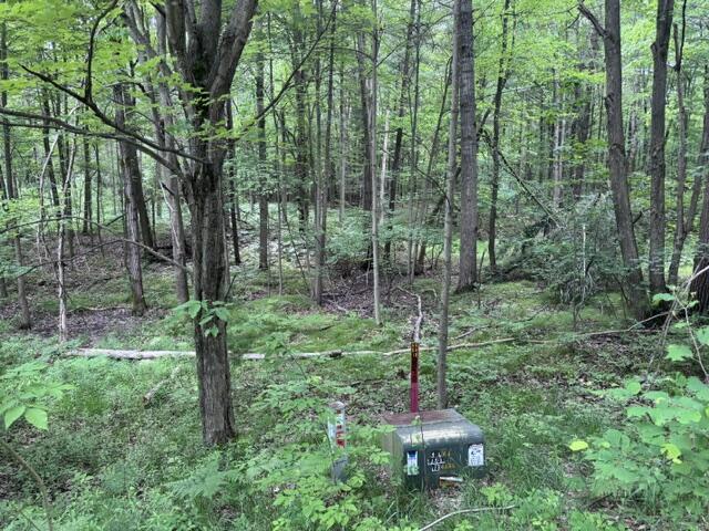 3rd image of 142 Hills Cir, Le Roy, MI 49655 | MLS# 70546900