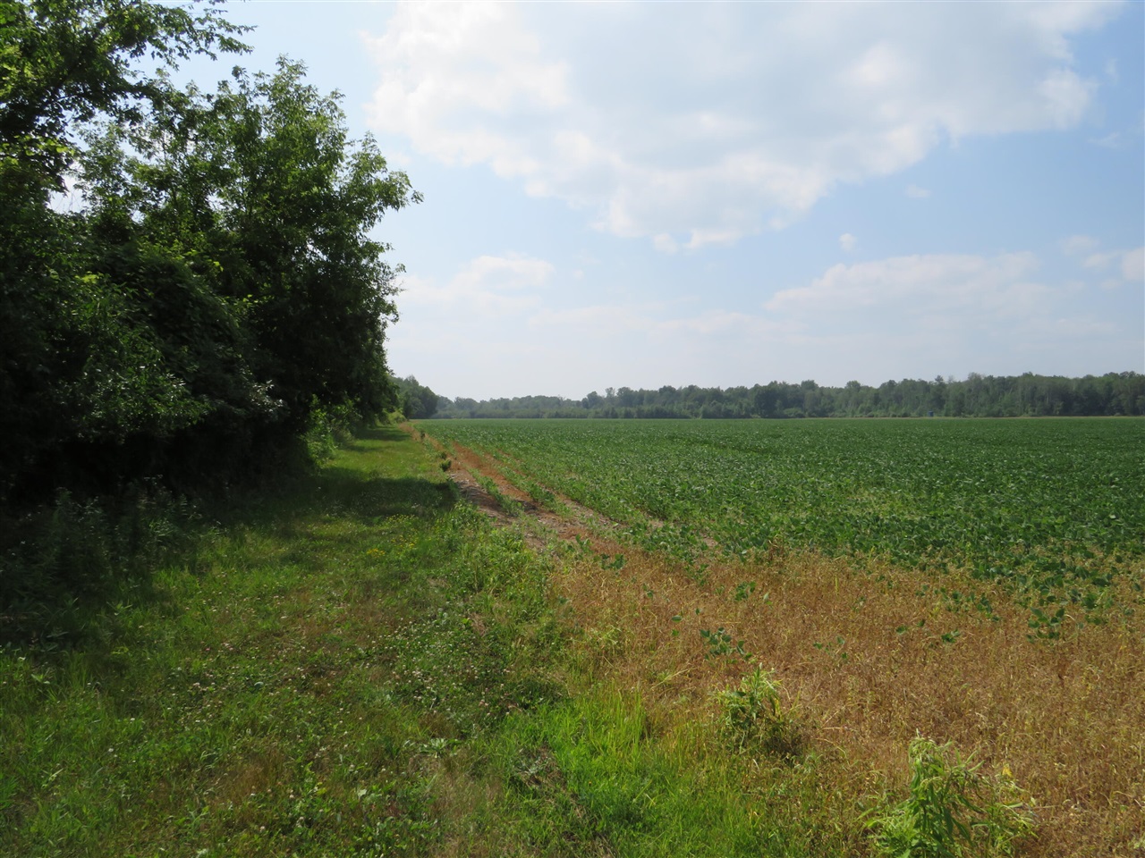 Photo 3 of Land for sale at NE County Line Rd, Coleman, MI 48618 | MLS# 70546967 | Listing updated on 2026-10-06