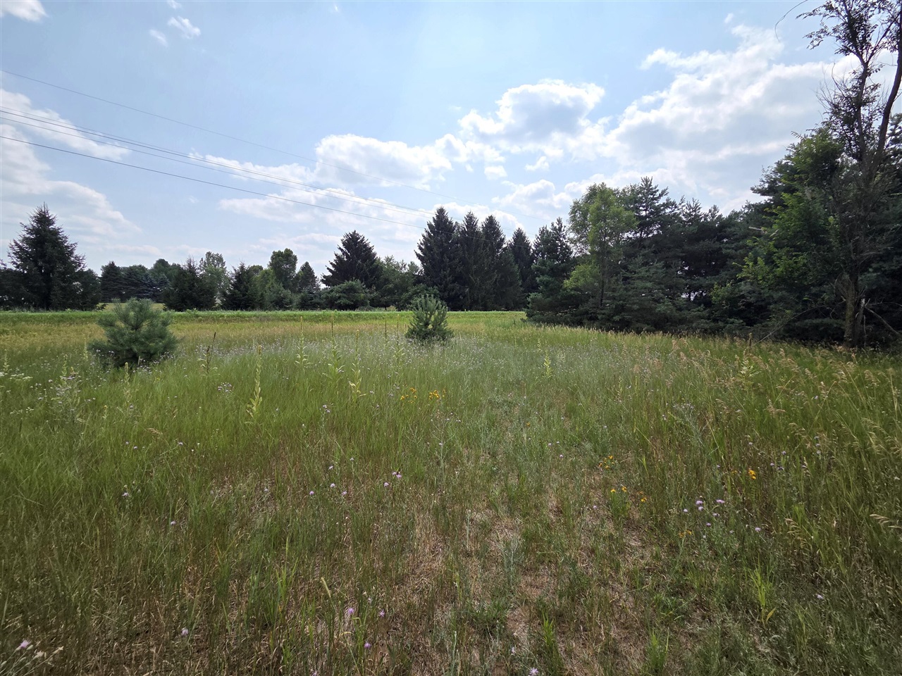 1st image of 00 W Stanton Rd, Trufant, MI 49347 | MLS# 70546970