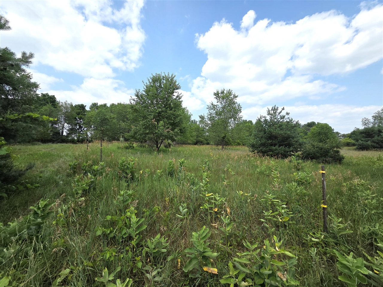 11th image of 00 W Stanton Rd, Trufant, MI 49347 | MLS# 70546970