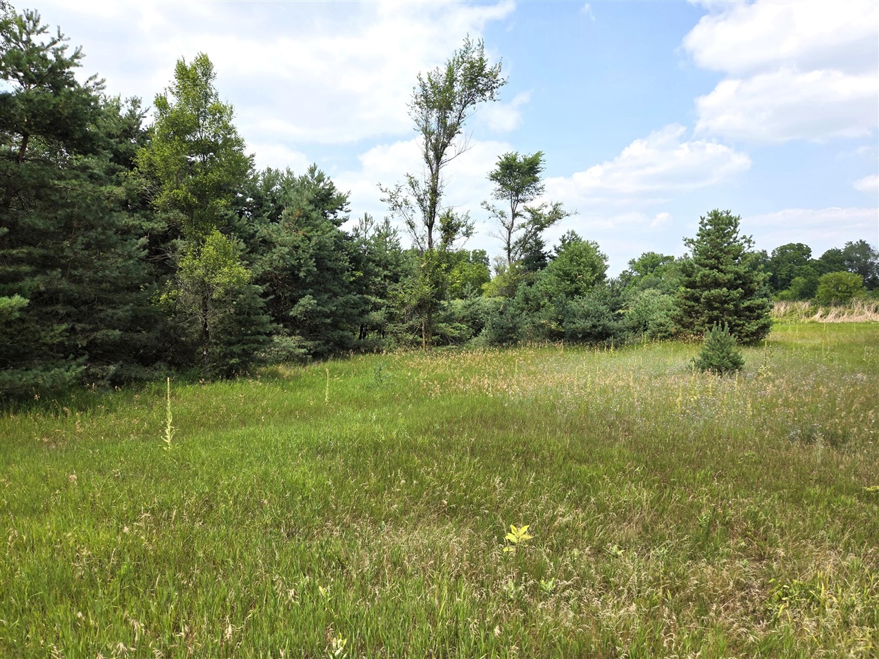4th image of 00 W Stanton Rd, Trufant, MI 49347 | MLS# 70546970