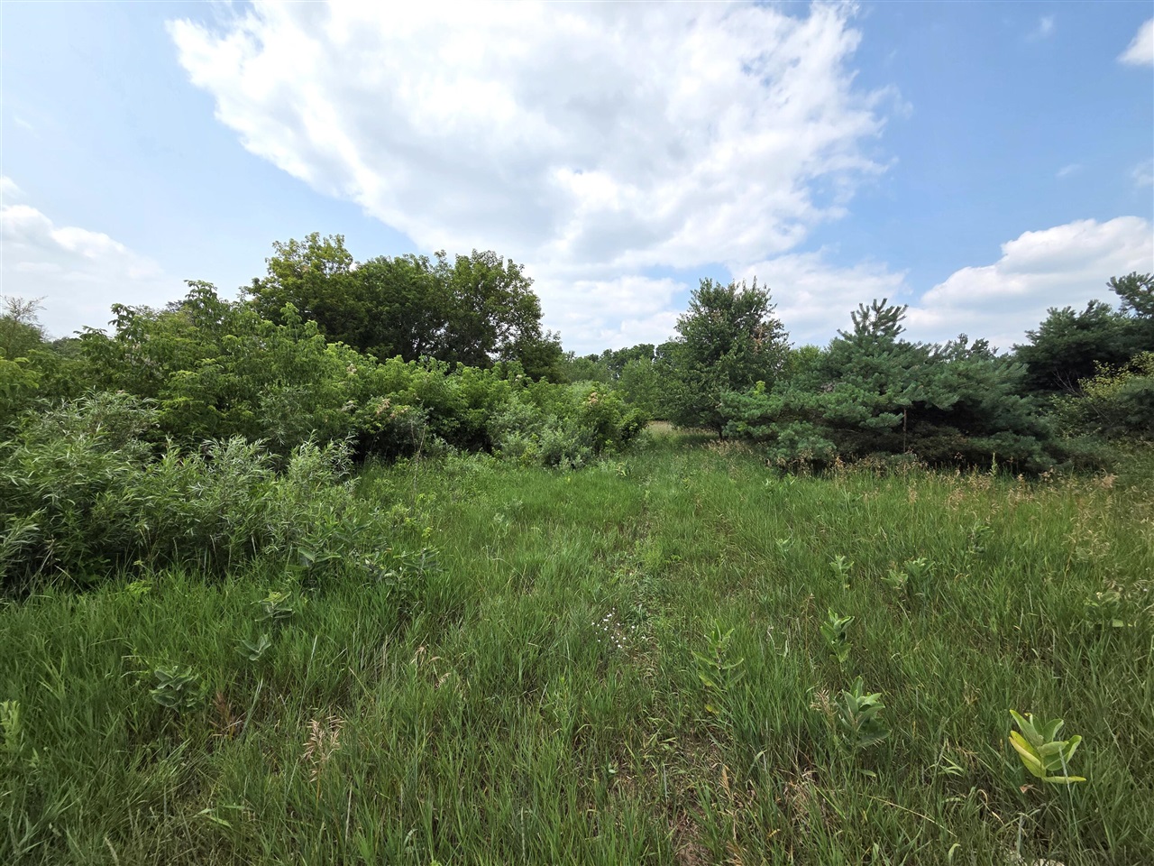 5th image of 00 W Stanton Rd, Trufant, MI 49347 | MLS# 70546970