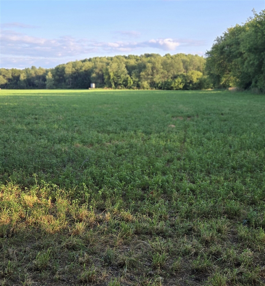 1st image of 11820 Rooksby St, Sand Lake, MI 49343 | MLS# 70547021