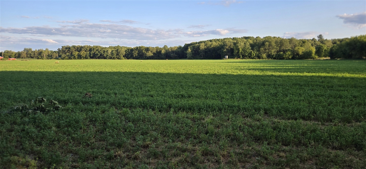 1st image of 11852 Rooksby St, Sand Lake, MI 49343 | MLS# 70547022