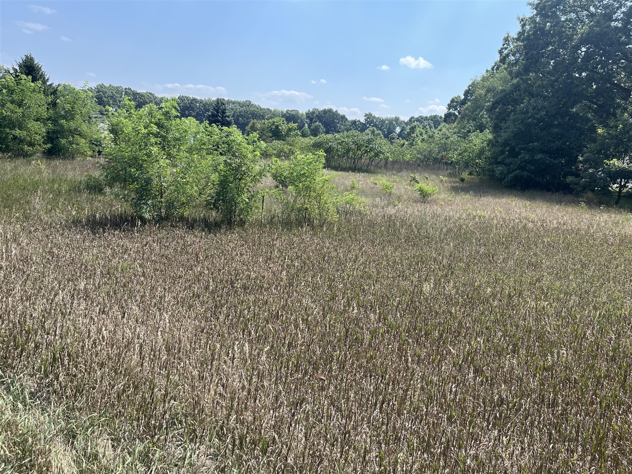 1st image of 3380 Babylon Rd, Allegan, MI 49010 | MLS# 70547071