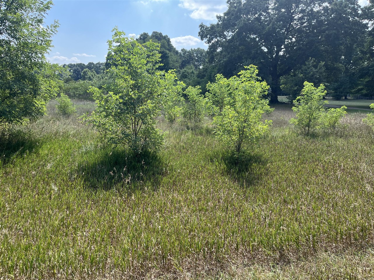 2nd image of 3380 Babylon Rd, Allegan, MI 49010 | MLS# 70547071