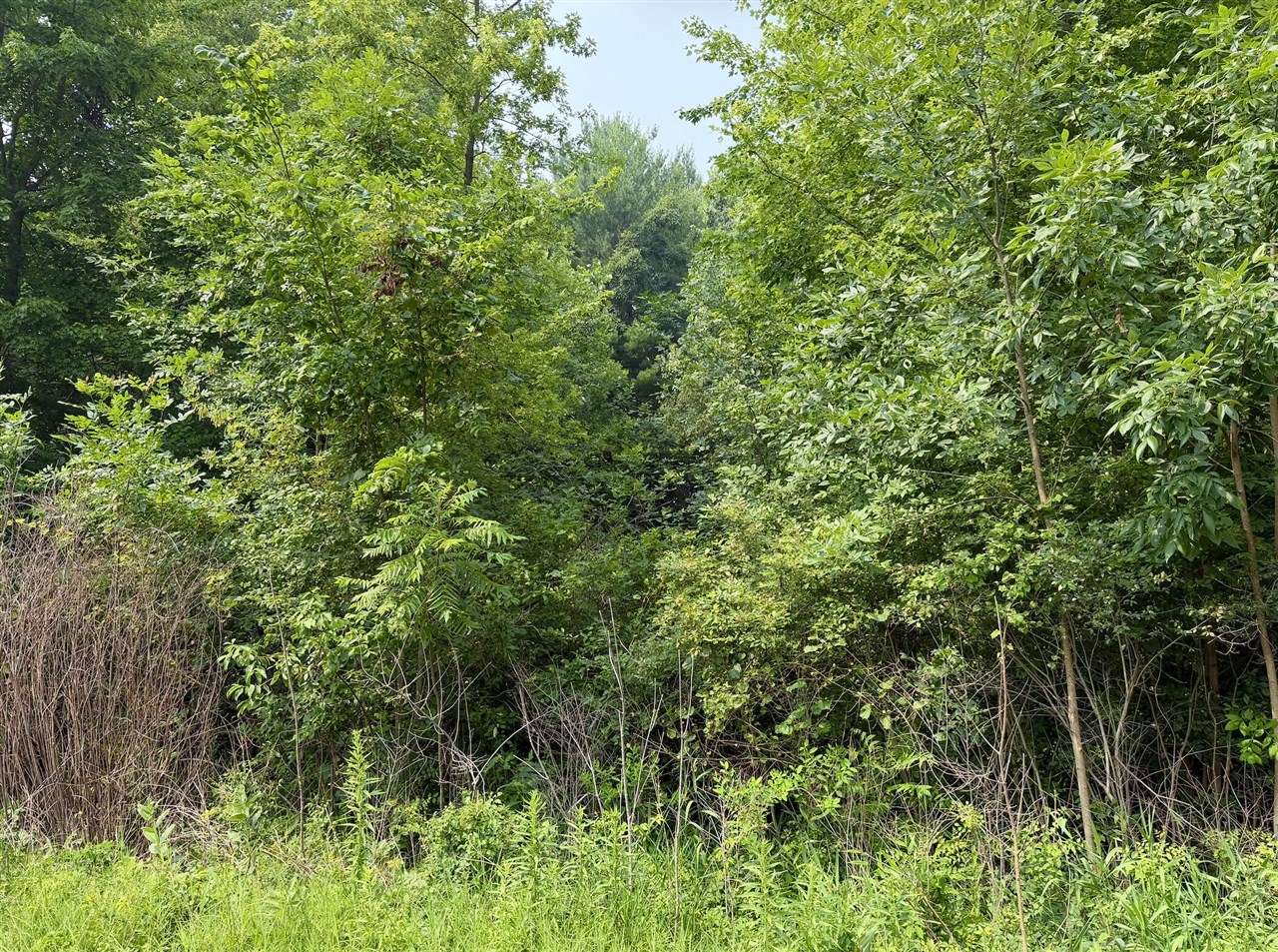 2nd image of V/l 70444 16th Ave, South Haven, MI 49090 | MLS# 70547081