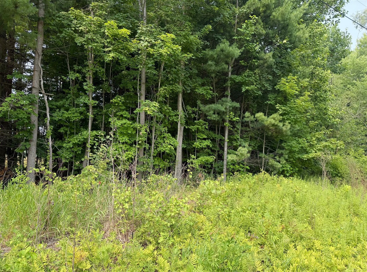 3rd image of V/L 70444 16Th Ave, South Haven, MI 49090 | MLS# 70547081