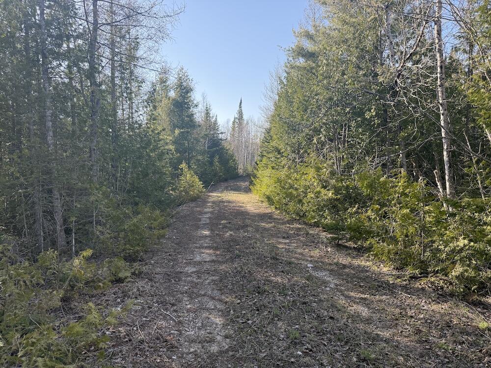 2nd image of S Gould City Rd, Gould City, MI 49838 | MLS# 70547141