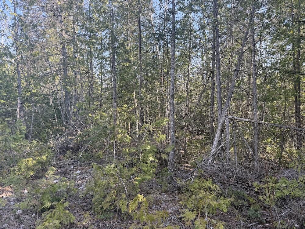 3rd image of S Gould City Rd, Gould City, MI 49838 | MLS# 70547141