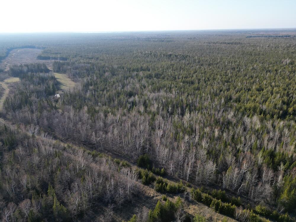 25th image of S Gould City Rd, Gould City, MI 49838 | MLS# 70547141