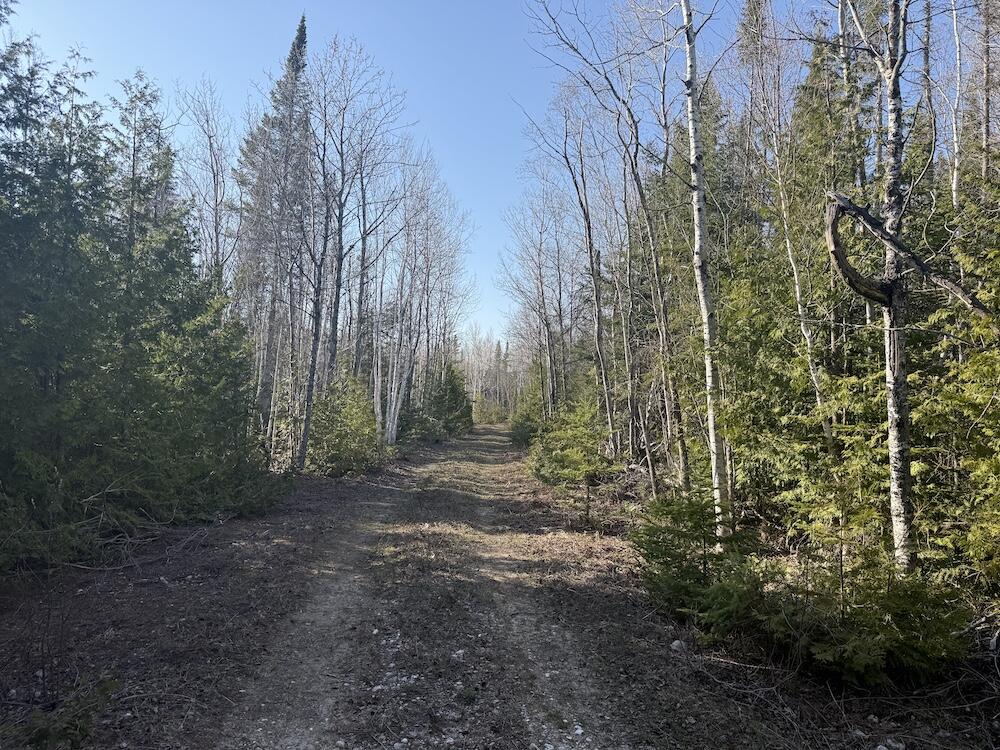 5th image of S Gould City Rd, Gould City, MI 49838 | MLS# 70547141