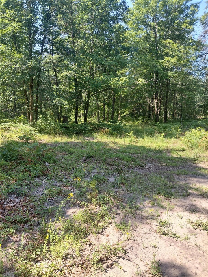 1st image of 2807 S Evergreen Dr, White Cloud, MI 49349 | MLS# 70547156