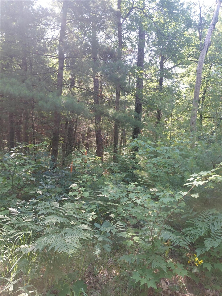 2nd image of 2807 S Evergreen Dr, White Cloud, MI 49349 | MLS# 70547156