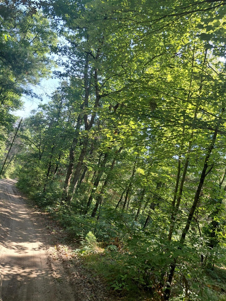 3rd image of 2807 S Evergreen Dr, White Cloud, MI 49349 | MLS# 70547156