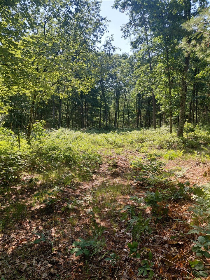 4th image of 2807 S Evergreen Dr, White Cloud, MI 49349 | MLS# 70547156