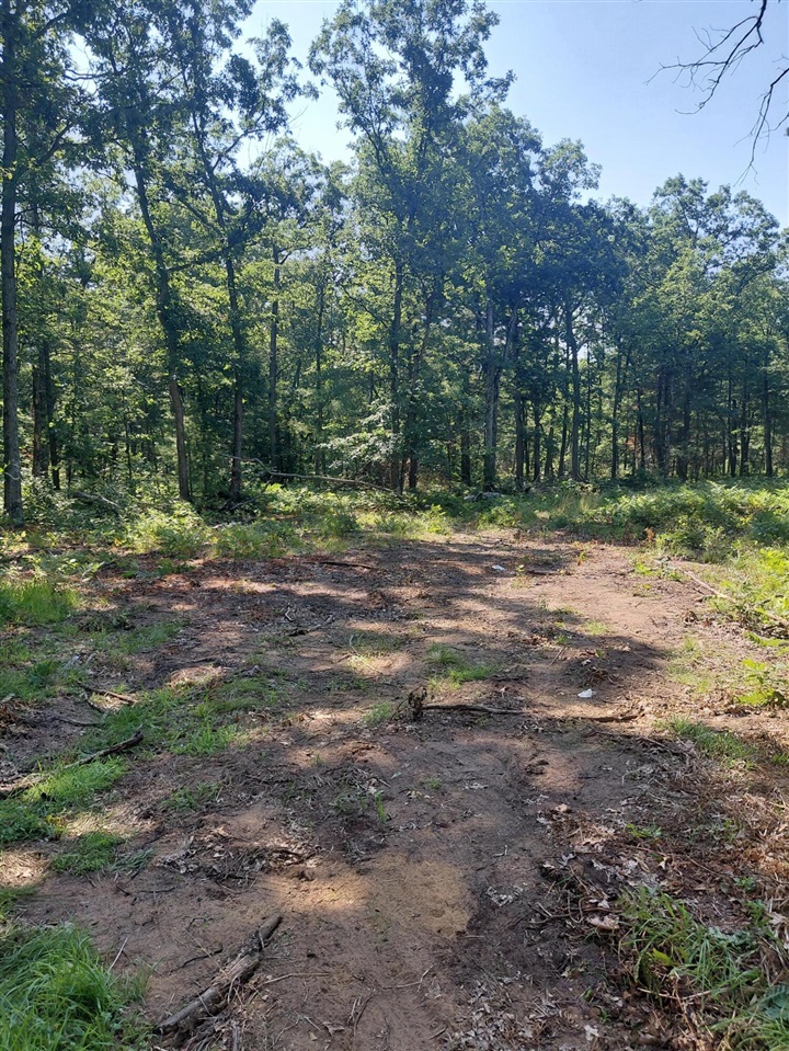 5th image of 2807 S Evergreen Dr, White Cloud, MI 49349 | MLS# 70547156