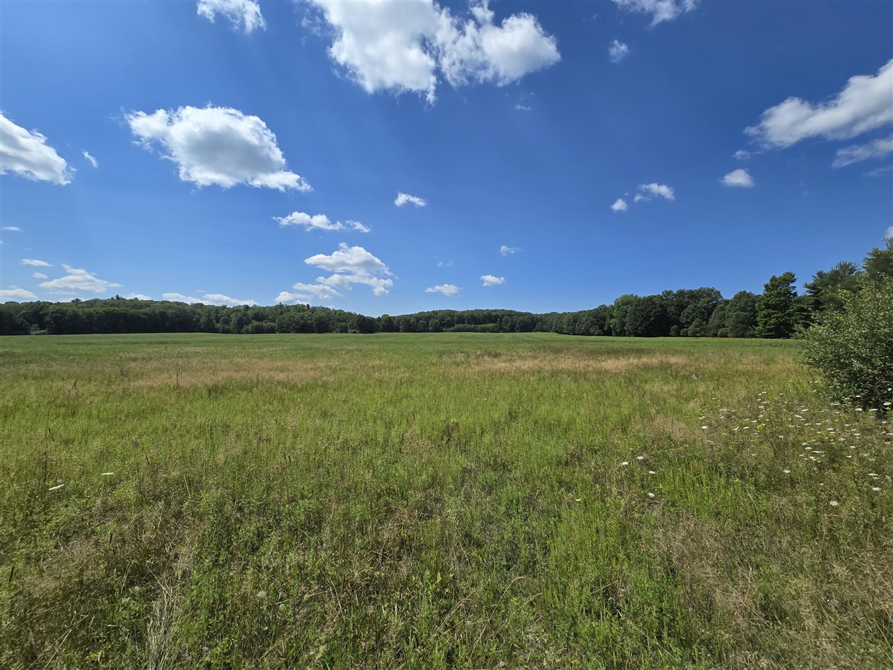 1st image of Leckrone Rd, Brethren, MI 49619 | MLS# 70547185
