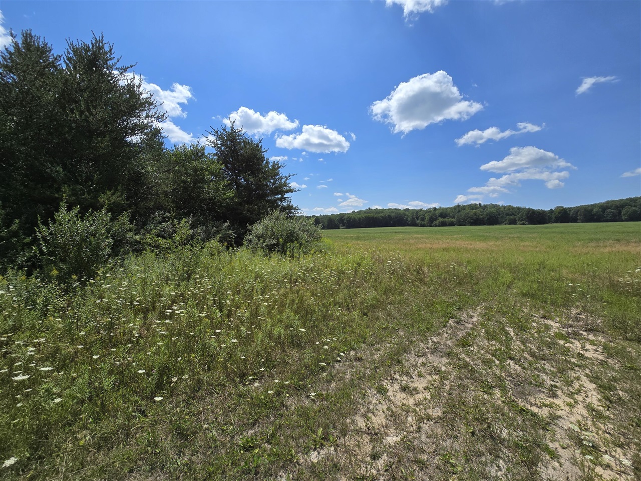 2nd image of Leckrone Rd, Brethren, MI 49619 | MLS# 70547185