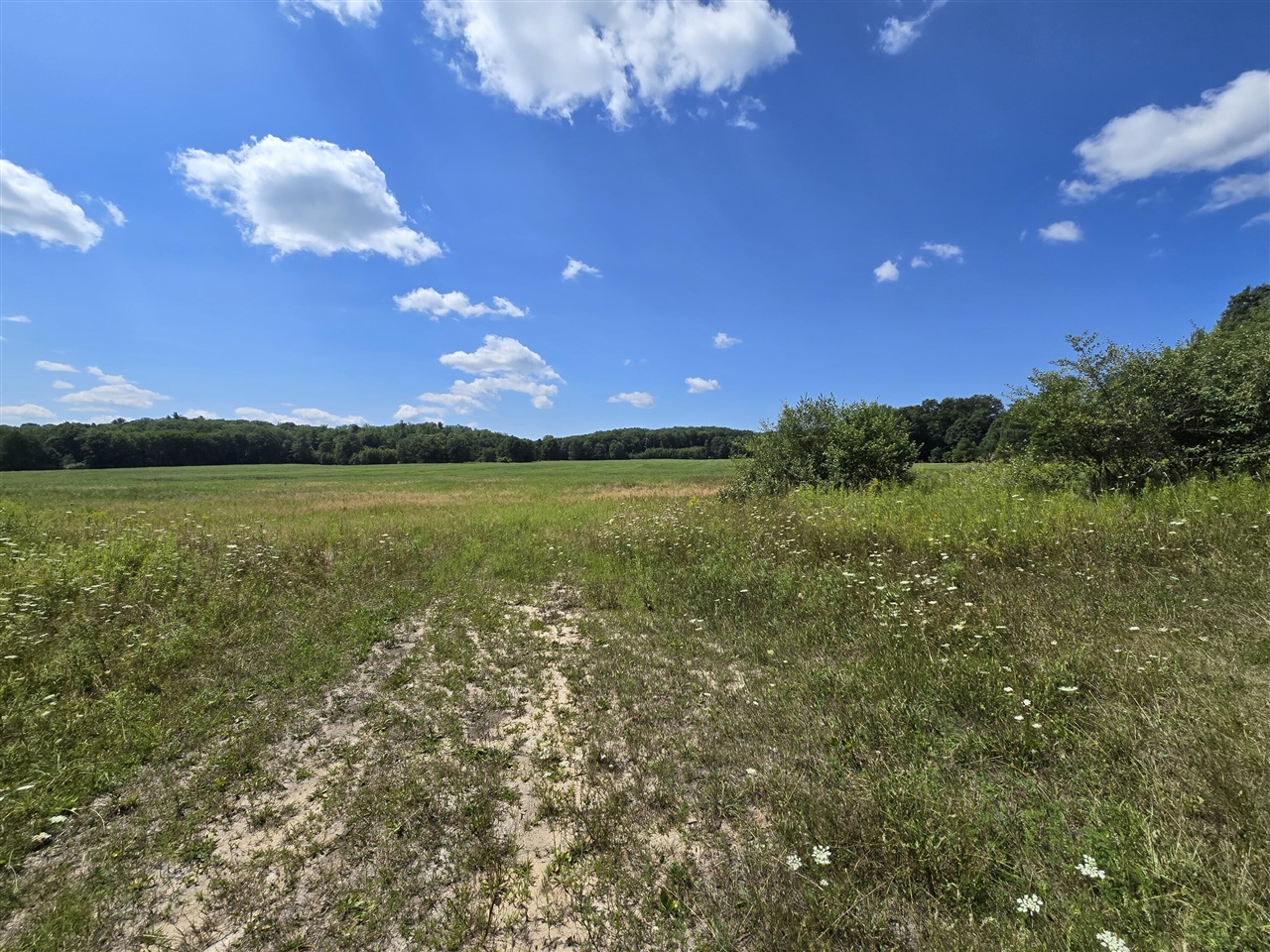 3rd image of Leckrone Rd, Brethren, MI 49619 | MLS# 70547185