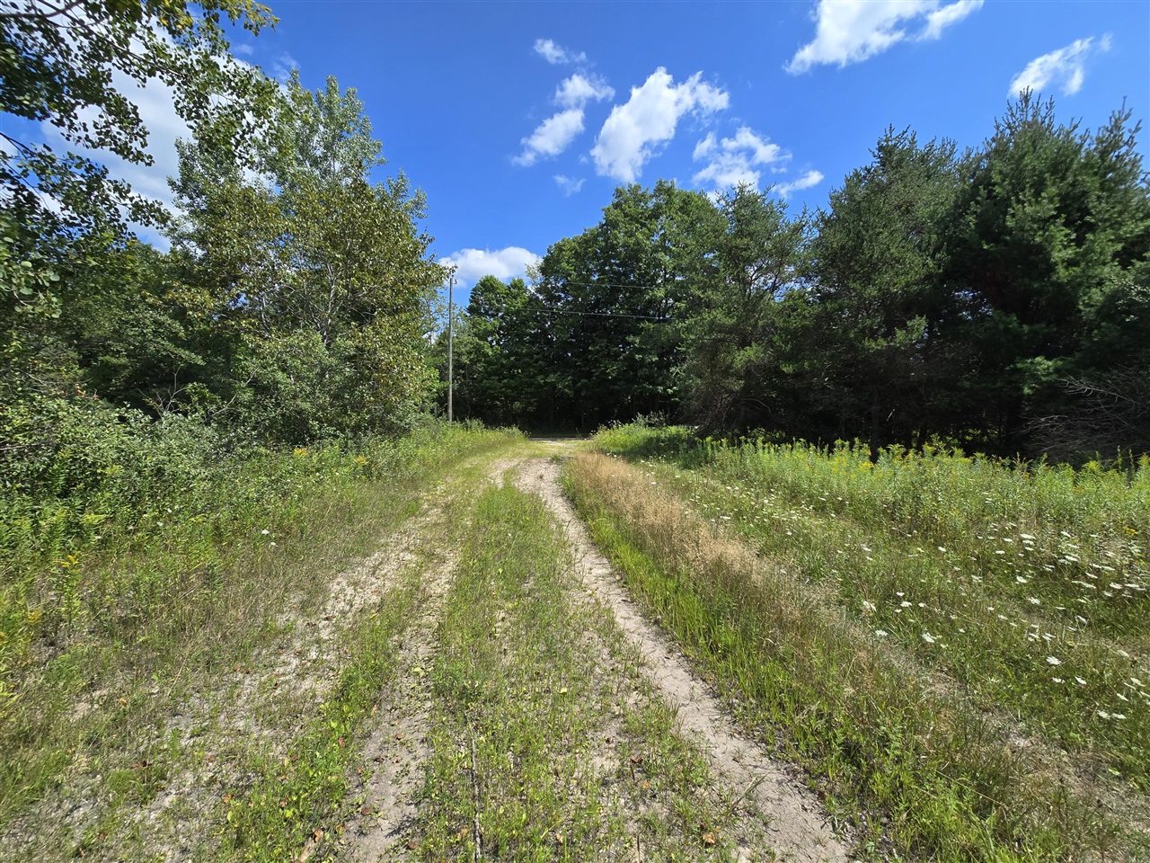 4th image of Leckrone Rd, Brethren, MI 49619 | MLS# 70547185