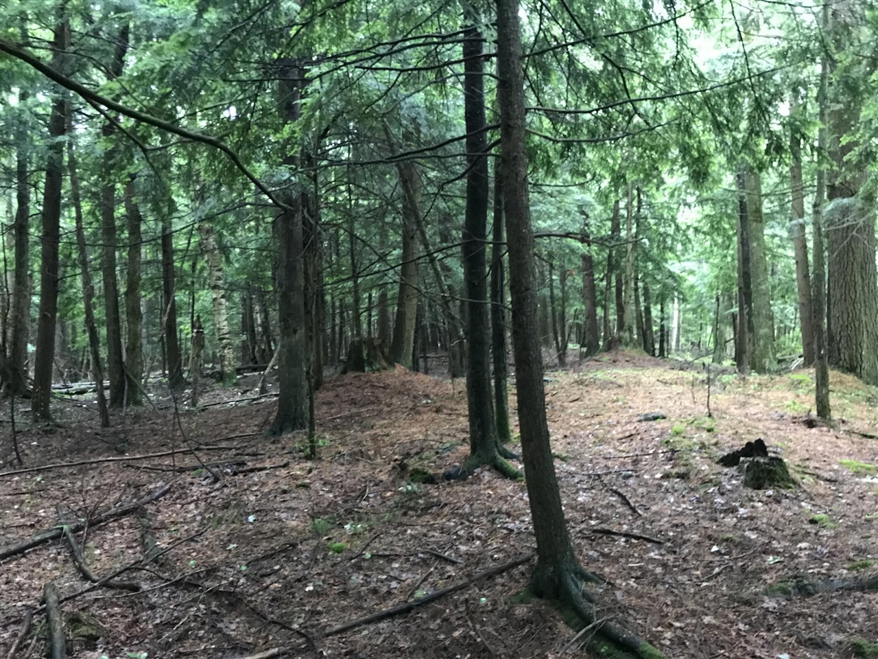 image of Old State Rd, Johannesburg, MI 49751 | MLS# 70547448
