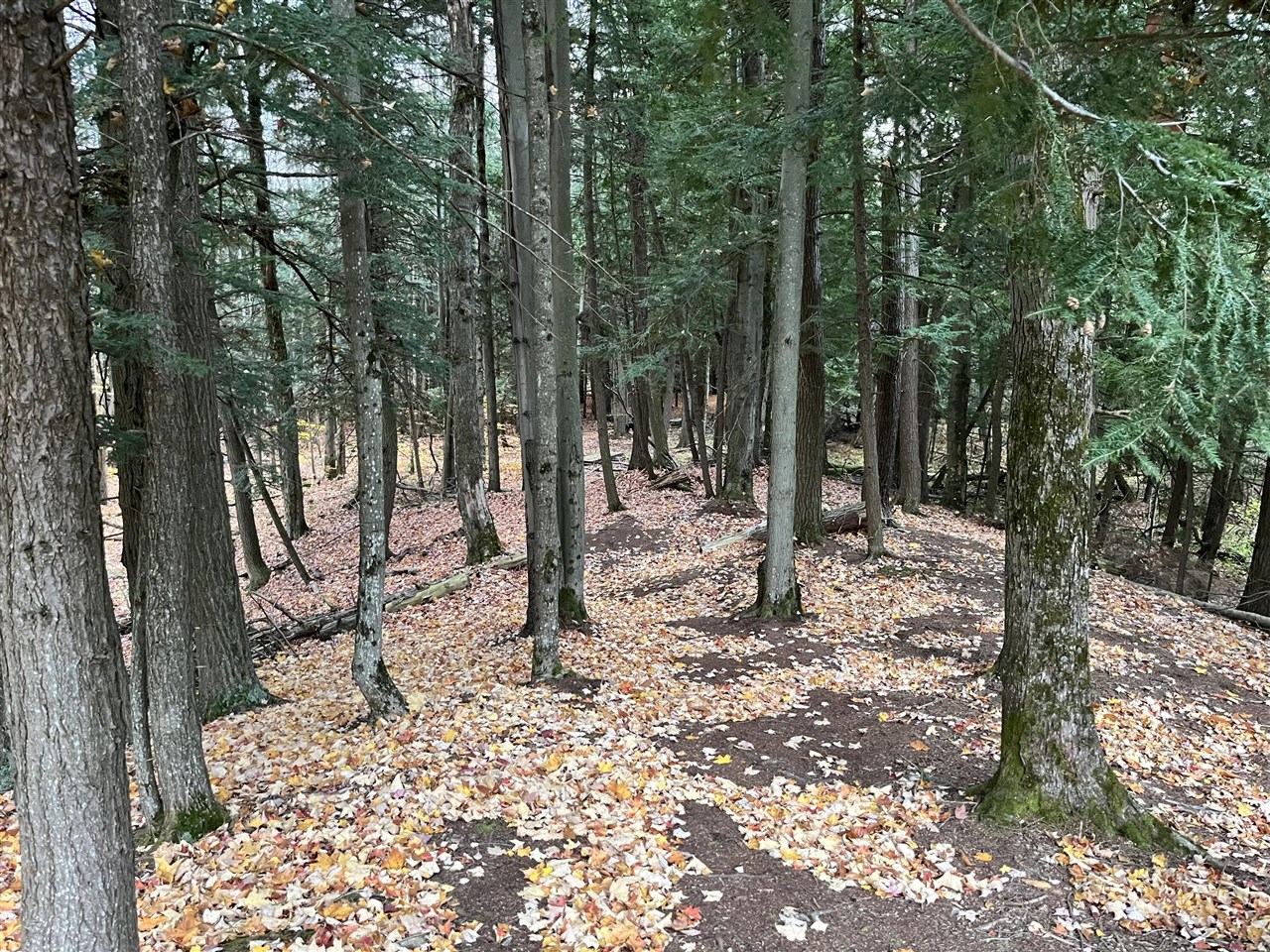 image of Old State Rd, Johannesburg, MI 49751 | MLS# 70547448
