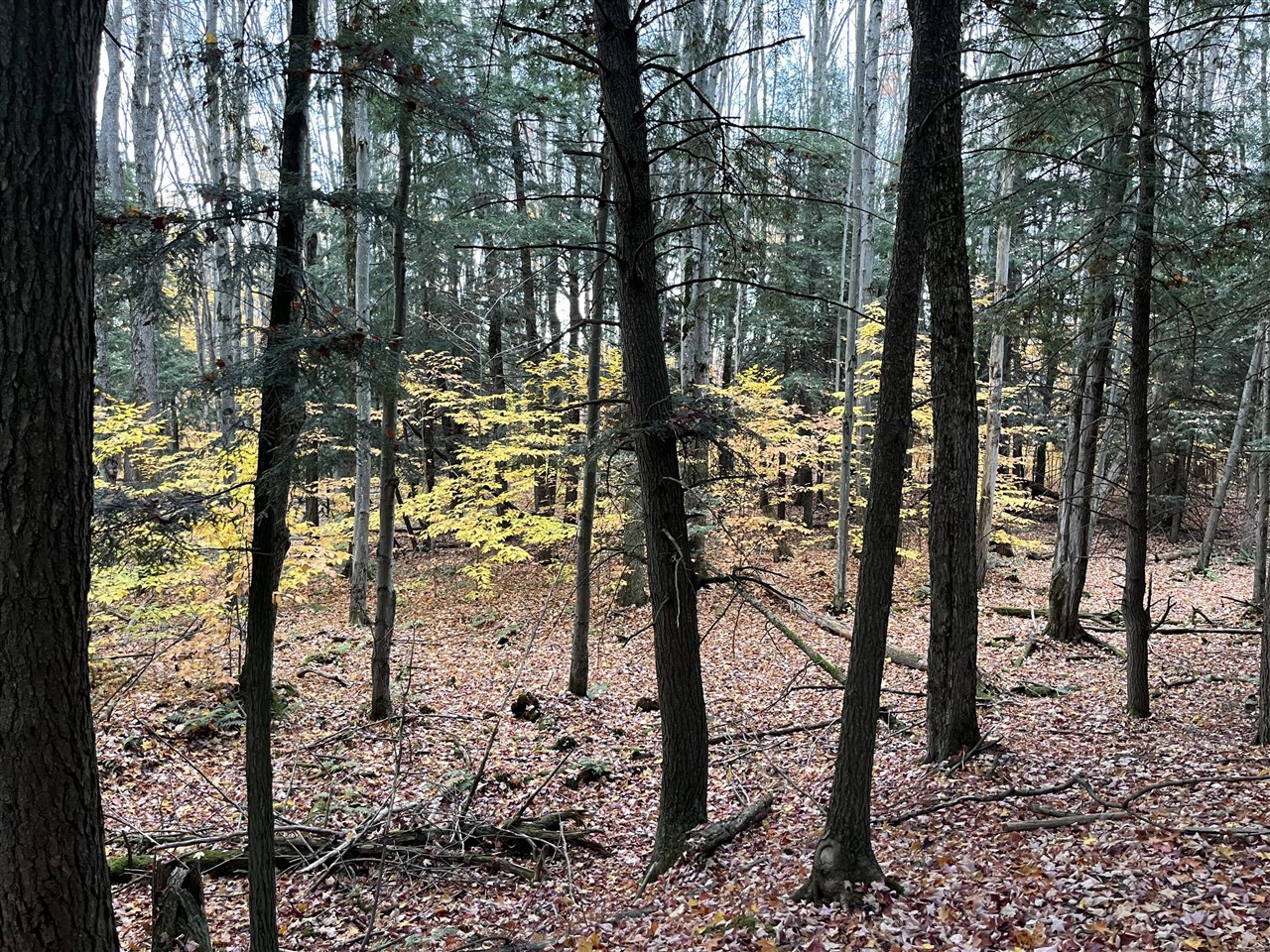 image of Old State Rd, Johannesburg, MI 49751 | MLS# 70547448