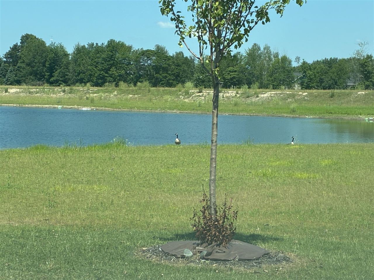 4th image of 1890 Lowe Dr, Spring Lake, MI 49456 | MLS# 70547541