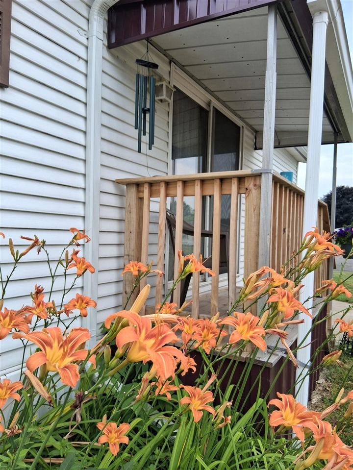 3rd image of 1219 Royal Dr, Fremont, MI 49412 | MLS# 70547558