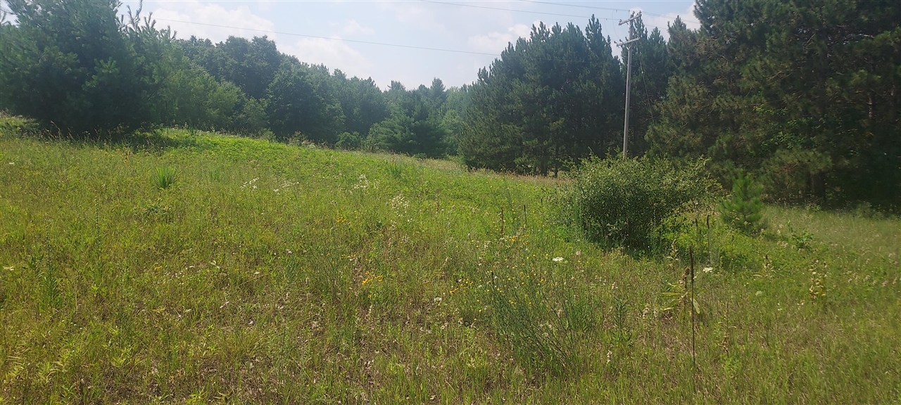 1st image of V/l E 88th St, Howard City, MI 49329 | MLS# 70547562