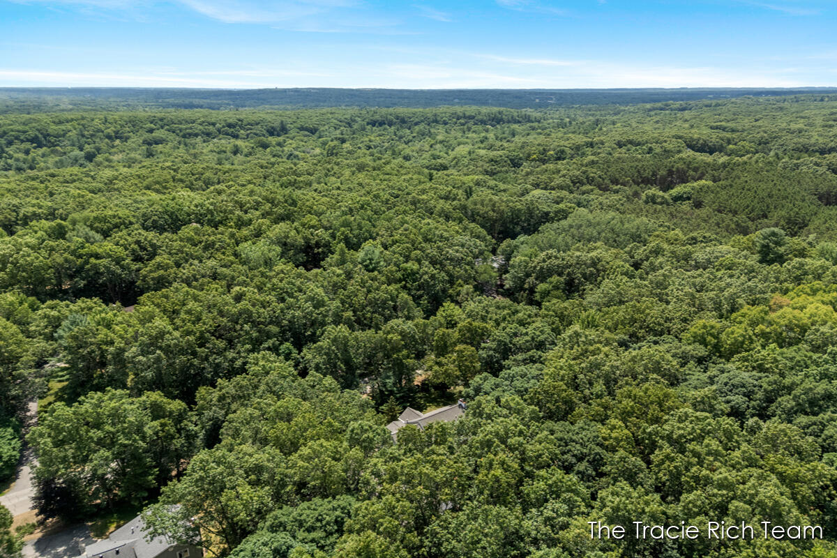 50th image of 4669 Wood Valley Ct, Rockford, MI 49341 | MLS# 70547591