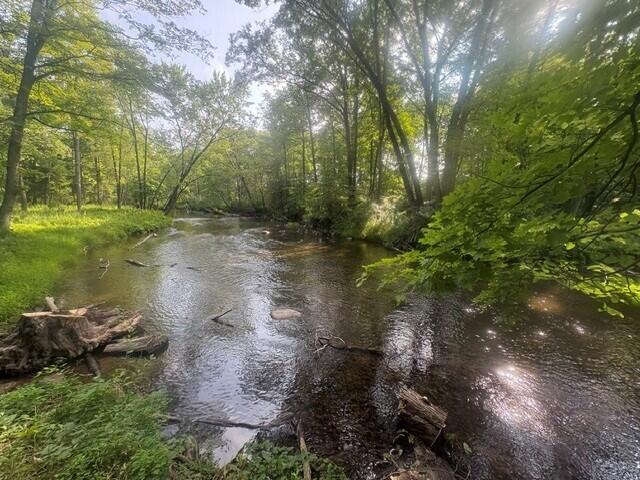 4th image of 14150 Birch Ln, Marion, MI 49665 | MLS# 70547651