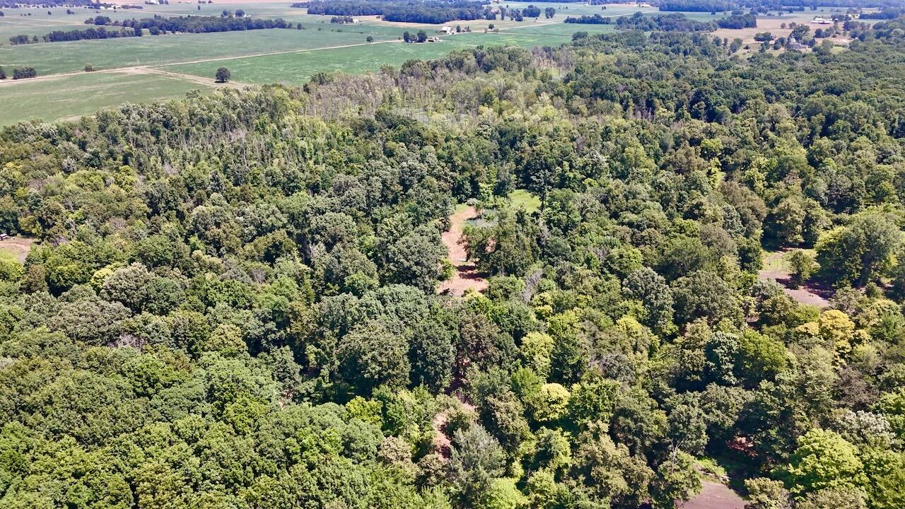 1st image of V/l N Scott Rd, Saint Johns, MI 48879 | MLS# 70547844