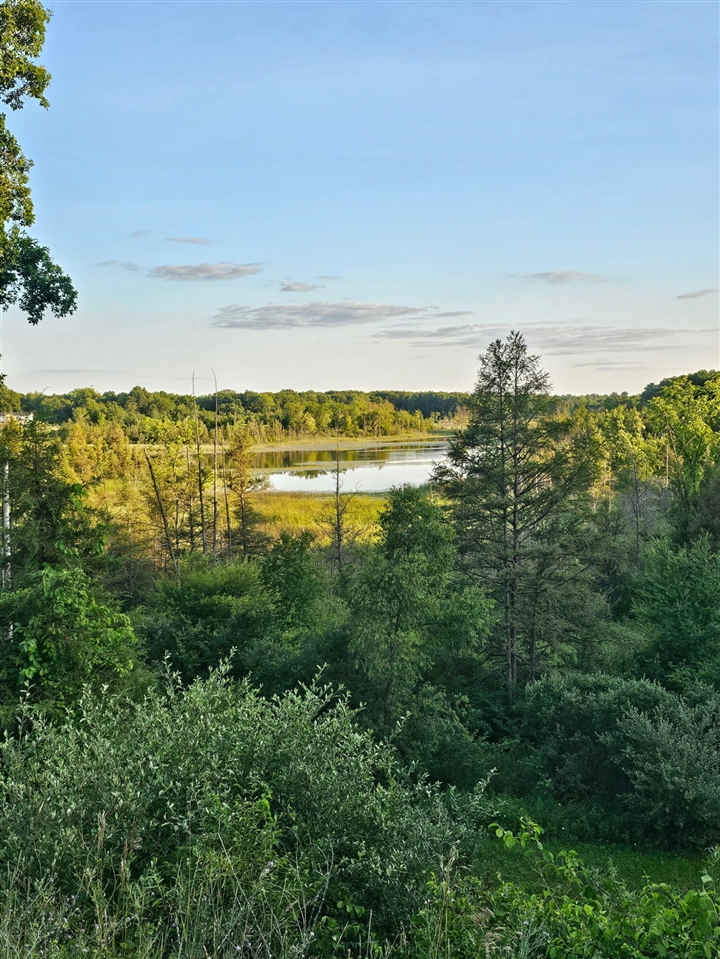 1st image of 5464 Clear Lake Rd, Grass Lake, MI 49240 | MLS# 70547894