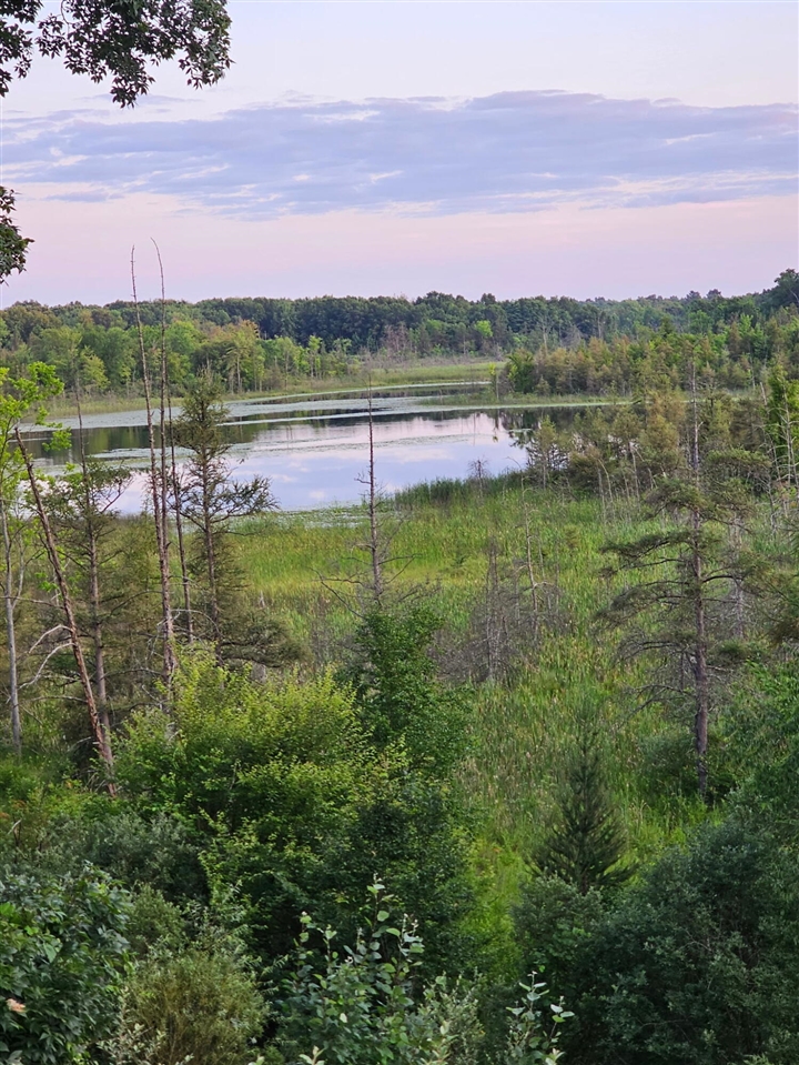 2nd image of 5464 Clear Lake Rd, Grass Lake, MI 49240 | MLS# 70547894