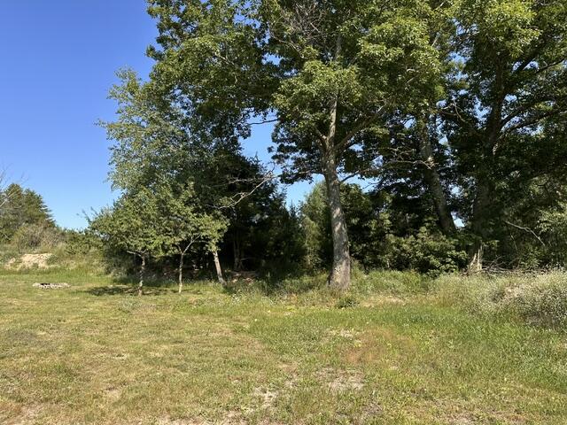 Land for sale at 207 Skocelas Rd, Manistee, MI 49660 | MLS# 70547924