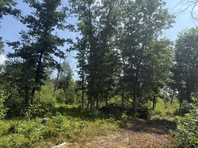 1st image of 7760 S Merrillville Rd, Baldwin, MI 49304 | MLS# 70548020