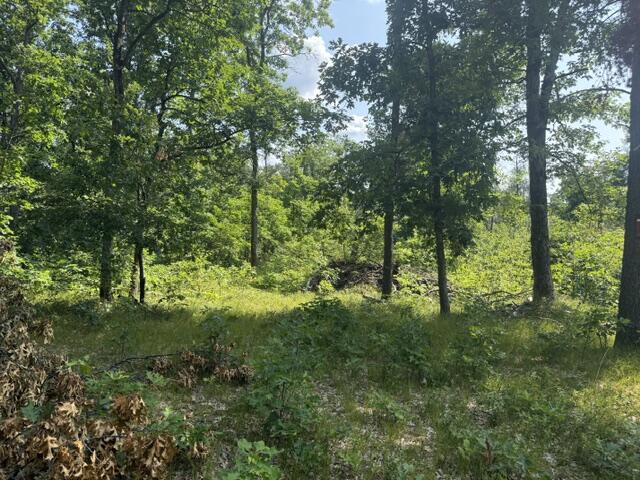 2nd image of 7760 S Merrillville Rd, Baldwin, MI 49304 | MLS# 70548020