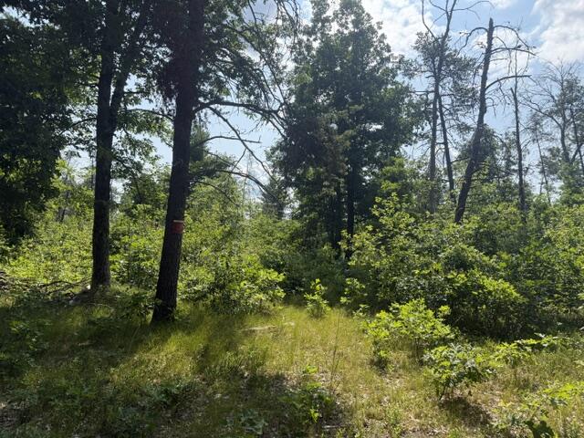 3rd image of 7760 S Merrillville Rd, Baldwin, MI 49304 | MLS# 70548020
