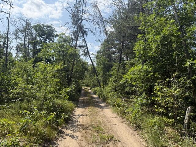 4th image of 7760 S Merrillville Rd, Baldwin, MI 49304 | MLS# 70548020