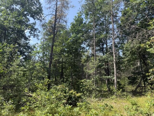 5th image of 7760 S Merrillville Rd, Baldwin, MI 49304 | MLS# 70548020